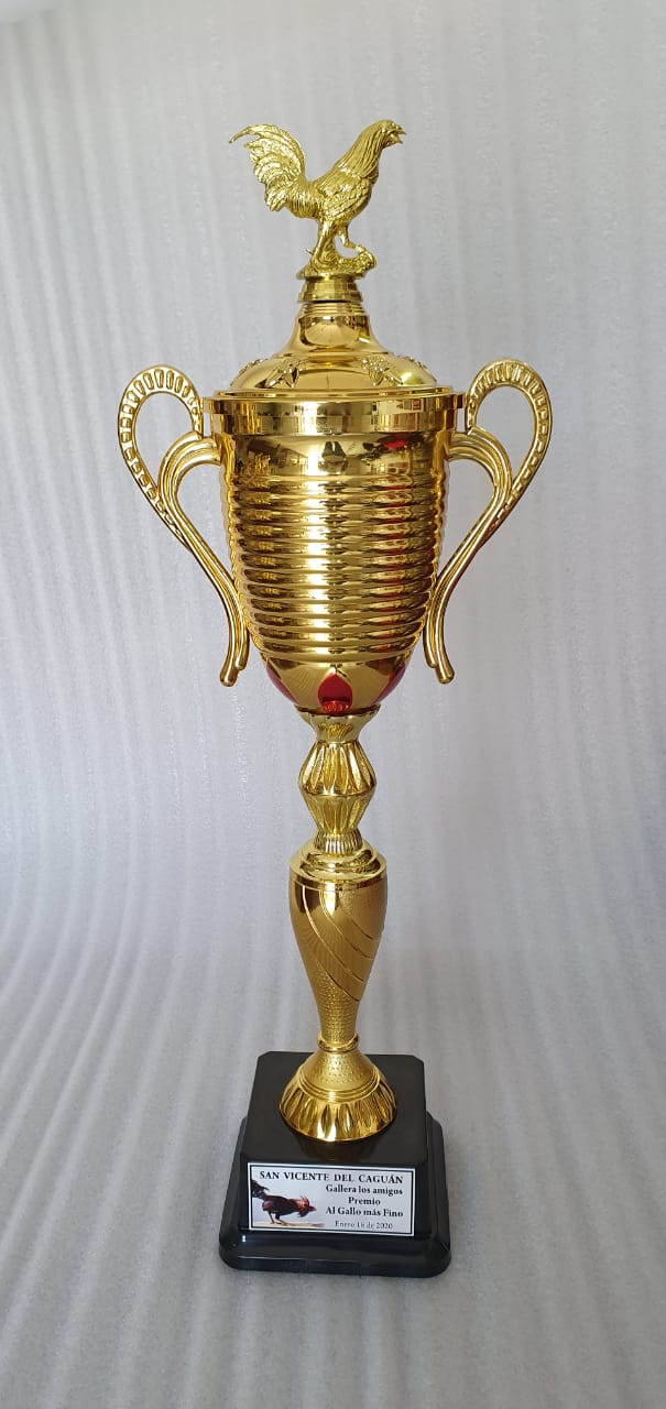Copa Plastica