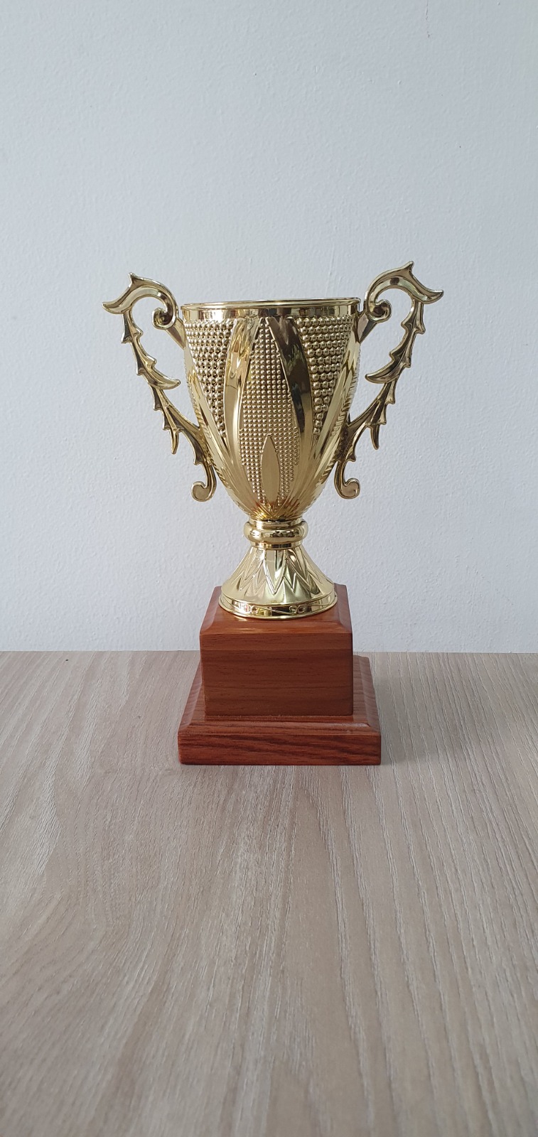 Trofeo plastico base en madera